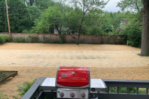 Lawncare-Backyard