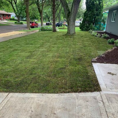 Lawncare Frontyard