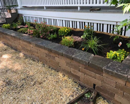 Wall-and-Seed-Detail